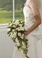Rebecca Taylor Northumberland Wedding Florist logo