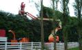 Luke Collett Tree Surgeons Ltd image 2