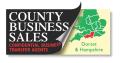 County Business Sales: DORSET, HAMPSHIRE; Transfer Agents Brokers Valuers logo