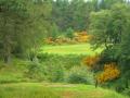 Dufftown Golf Club image 4