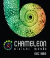 Chameleon Digital Media Web Design logo
