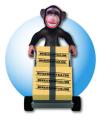 Monkey Removals image 1