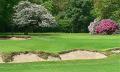 Ashridge Golf Club logo