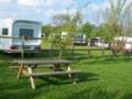 Acorn Wood - Campsite - Caravanning - Fishing image 3
