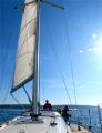 RYA sailing courses by SEA JAY'S Solent Sailing School image 4