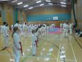 Seven Islands Karate Club image 2