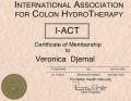 Healthy Colonics - Colonic Hydrotherapy image 2