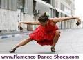 Flamencista image 5
