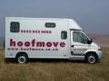 hoofmove horse transport image 1