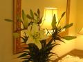 Ashtree Farm Luxury Self-Catering Accommodation Oxfordshire image 2