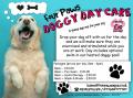 portsmouth     four paws Doggy day care logo