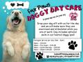 portsmouth     four paws Doggy day care image 1