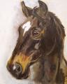 Equestrian Portrait image 3
