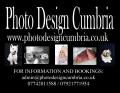 Photo Design Cumbria image 1