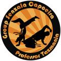 Capoeira - Group Senzala North East logo
