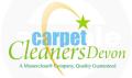 Carpet Cleaning Devon logo