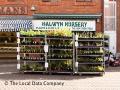 Halwyn Nurseries logo