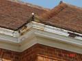 Wilsons Seamless Guttering And Roofline Installation image 4