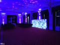 Wedding Venue Lighting image 2