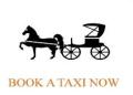 Newquay airport taxis-Carbis Cabs logo