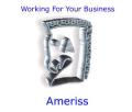 Ameriss (Web Design) Limited image 1