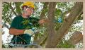 The F A Bartlett Tree Experts Co Ltd image 7