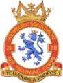 211 (Newbury) Squadron, Air Training Corps logo