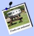 Little Orchard Caravan Park image 7