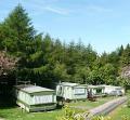Longnor Wood Holiday Park image 7