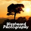 Westward Photography image 6