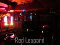 Red Leopard image 7