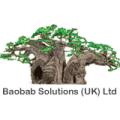 Baobab Solutions Web Designer & Developer, Web Marketing image 5