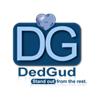 DedGud Ltd. logo