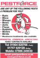 pest control  boroughbridge pestforce logo