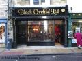 Black Orchid Ltd logo