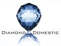 Diamond Domestic Cleaning Services Ltd image 9