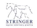 Stringer Equine Veterinary Practice, Moretonhampstead, Newton Abbot, Devon logo