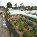 Holly Farm Nurseries image 2