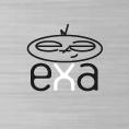 Exa-Networks Ltd logo