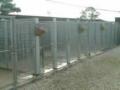 Landorn Boarding Kennels & Cattery image 4