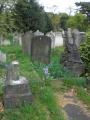 Nunhead Cemetery image 7
