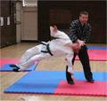 Jung Shin Kwan Hapkido image 2