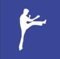 Gary Lam Wing Chun UK image 1