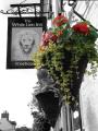 White Lion image 4