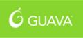 Guava UK - Search Engine Marketing & Optimisation image 3