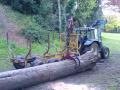 STEVE SWIFT TREE CARE image 1