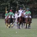 West Wycombe Park Polo Club logo