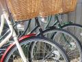 The Bicycle Rack image 2
