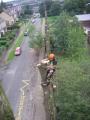 RMD Tree Care image 2