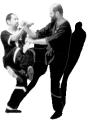 Serious Wing Chun Training image 1